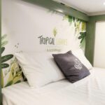 🌿 VILLA CHEZ THUY – View vịnh Bái Tử Long 🌿